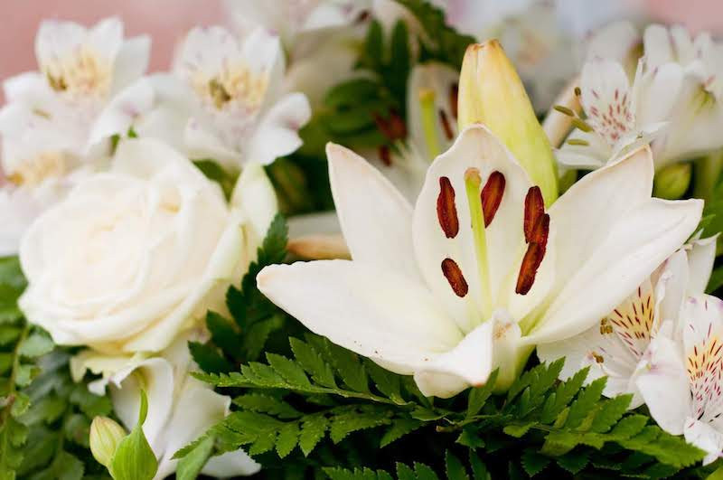 複数の白い花